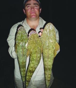It is a great time to chase a few shore-based flathead on artificials as Tyrone found out with these three rippers.